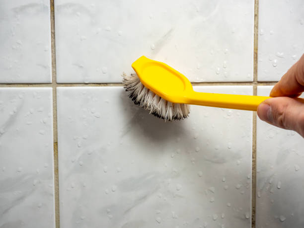Best Office Mold Removal Services  in Dumas, TX