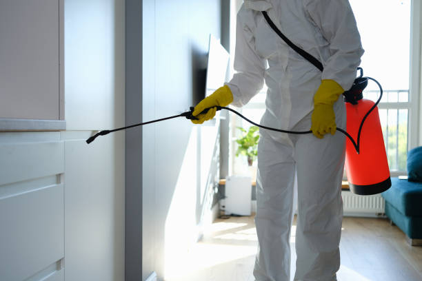 Best Mold Testing and Removal  in Dumas, TX