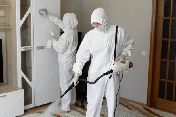 Certified Mold Removal in Dumas, TX
