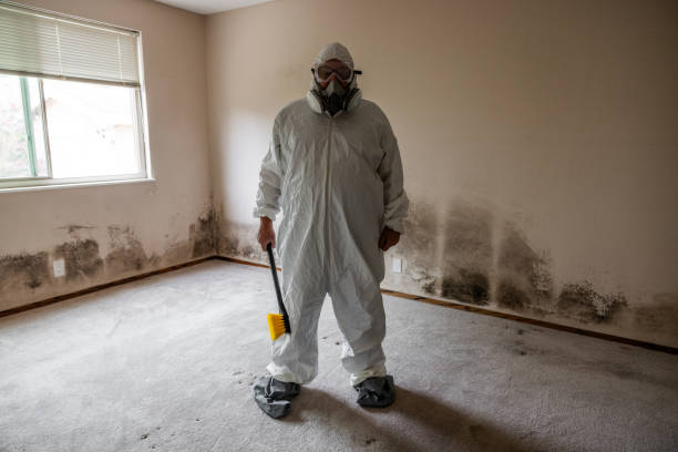 Best Mold Testing  in Dumas, TX